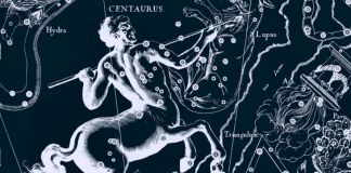 LICORNES CONTRE ZEBRES, CONTRE CENTAURES …